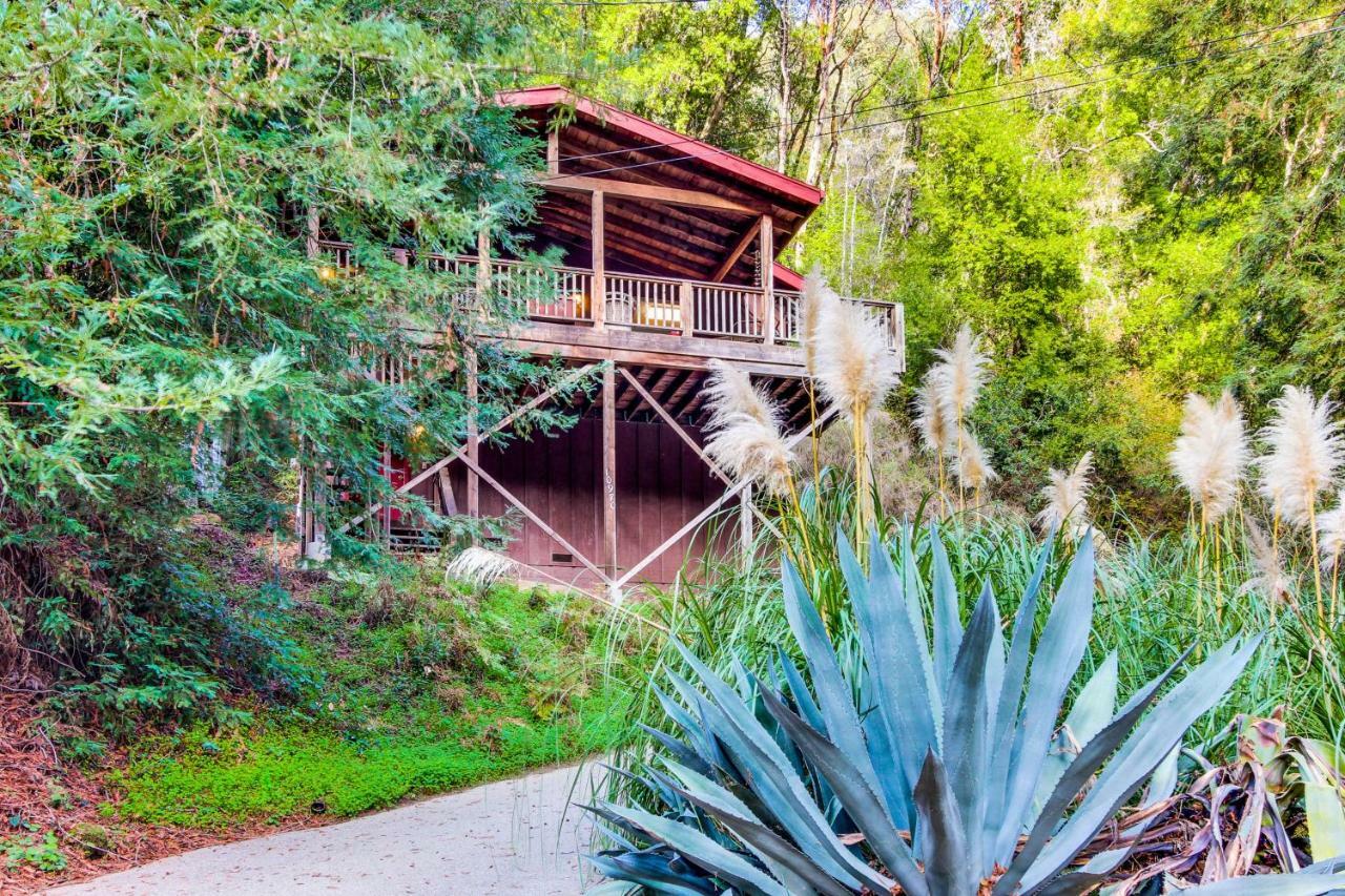 Tree Top View Cabin Felton Extérieur photo